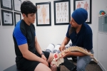 Understanding Spinal Disc Problems